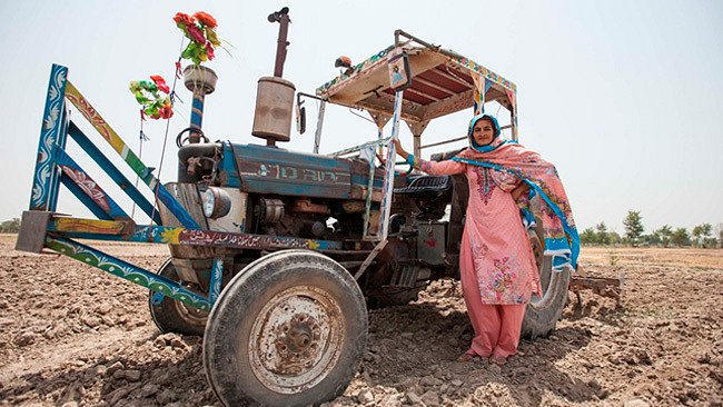 Vastuullista puuvillaa ja biohajoava kangas kehitteillä – Medanta luo vihreämpää tulevaisuutta